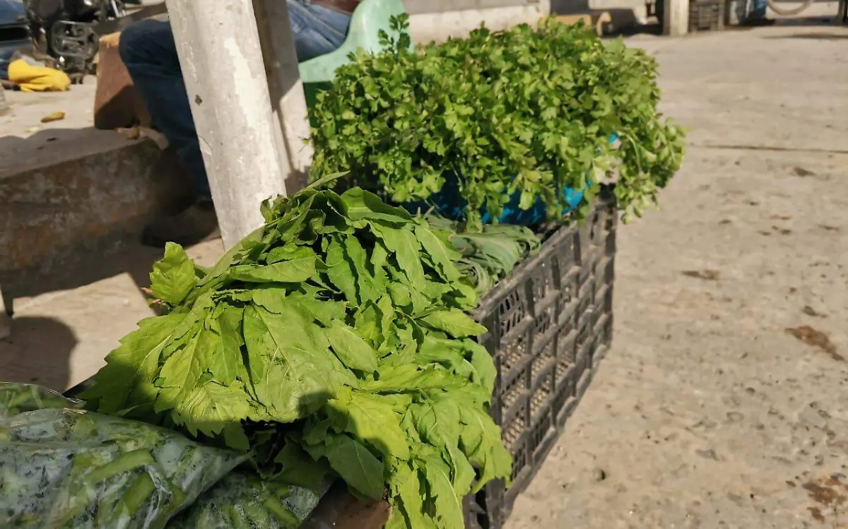 Cultivos de traspatio de venta en mercado rodantes en el norte de Veracruz 